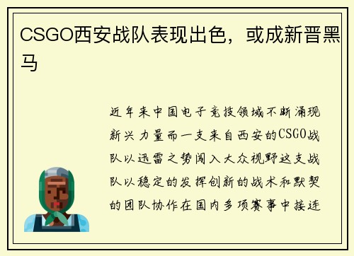 CSGO西安战队表现出色，或成新晋黑马